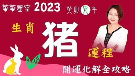 1971豬幸運色2023|【屬豬2023生肖運勢】運勢風生水起，有閃婚可能｜ 